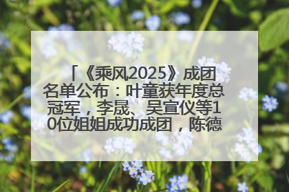 《乘风2025》成团名单公布：叶童获年度总冠军，李晟、吴宣仪等10位姐姐成功成团，陈德容获年度高光人物