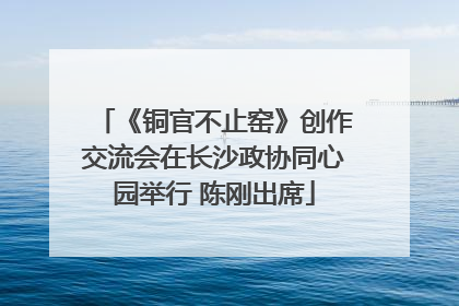 《铜官不止窑》创作交流会在长沙政协同心园举行 陈刚出席