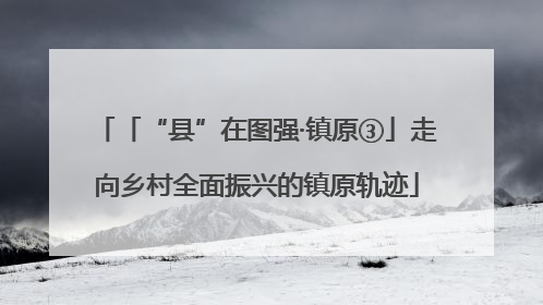「“县”在图强·镇原③」走向乡村全面振兴的镇原轨迹