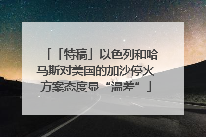 「特稿」以色列和哈马斯对美国的加沙停火方案态度显“温差”