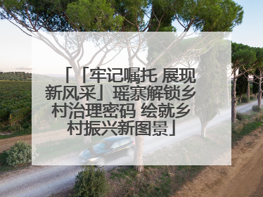 「牢记嘱托 展现新风采」瑶寨解锁乡村治理密码 绘就乡村振兴新图景