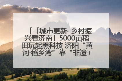 「城市更新· 乡村振兴看济南」5000亩稻田玩起黑科技 济阳“黄河·稻乡湾”靠“非遗+露营”火出圈