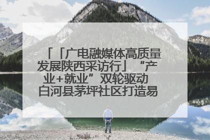 「广电融媒体高质量发展陕西采访行」“产业+就业”双轮驱动 白河县茅坪社区打造易地搬迁后扶新样本
