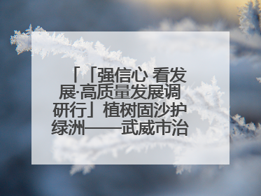 「强信心 看发展·高质量发展调研行」植树固沙护绿洲——武威市治沙造林筑牢生态安全屏障见闻