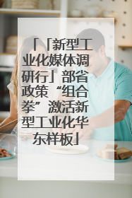 「新型工业化媒体调研行」部省政策“组合拳”激活新型工业化华东样板