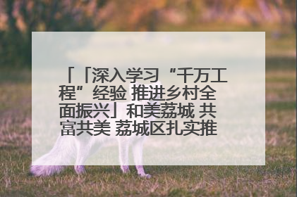 「深入学习“千万工程”经验 推进乡村全面振兴」和美荔城 共富共美 荔城区扎实推进乡村振兴工作