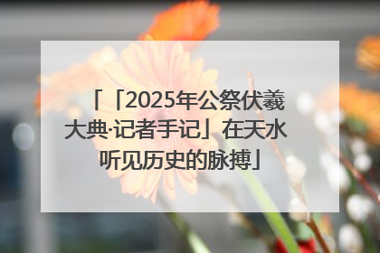 「2025年公祭伏羲大典·记者手记」在天水 听见历史的脉搏