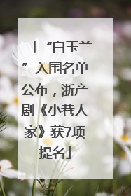 “白玉兰”入围名单公布，浙产剧《小巷人家》获7项提名
