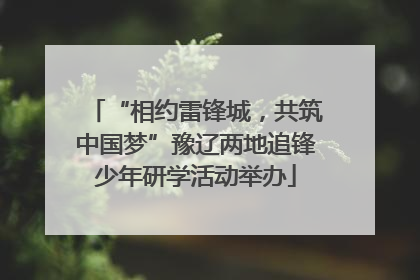 “相约雷锋城，共筑中国梦”豫辽两地追锋少年研学活动举办