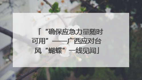 “确保应急力量随时可用”——广西应对台风“蝴蝶”一线见闻