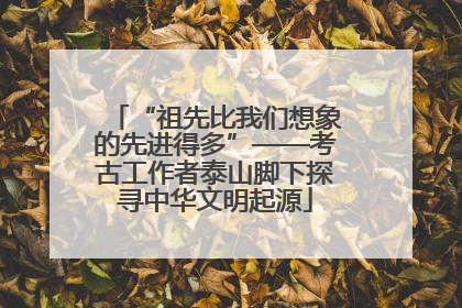 “祖先比我们想象的先进得多”——考古工作者泰山脚下探寻中华文明起源