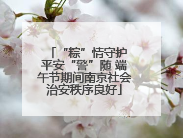 “粽”情守护 平安“警”随 端午节期间南京社会治安秩序良好