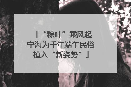 “粽叶”乘风起 宁海为千年端午民俗植入“新姿势”