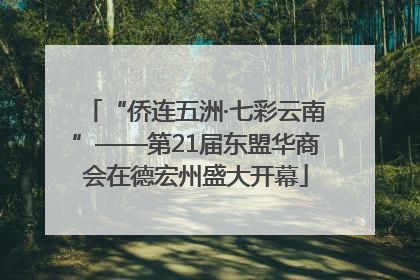 “侨连五洲·七彩云南”——第21届东盟华商会在德宏州盛大开幕