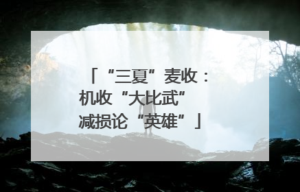 “三夏”麦收：机收“大比武” 减损论“英雄”