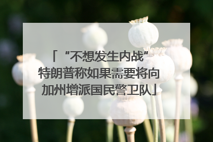 “不想发生内战” 特朗普称如果需要将向加州增派国民警卫队