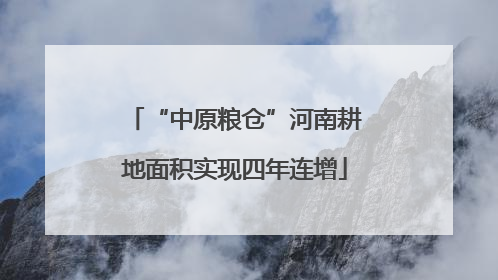 “中原粮仓”河南耕地面积实现四年连增