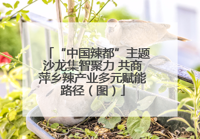 “中国辣都”主题沙龙集智聚力 共商萍乡辣产业多元赋能路径（图）