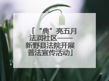 “典”亮五月 法润社区——新野县法院开展普法宣传活动