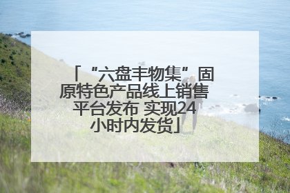 “六盘丰物集”固原特色产品线上销售平台发布 实现24小时内发货