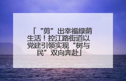 “剪”出幸福绿荫生活！控江路街道以党建引领实现“树与民”双向奔赴