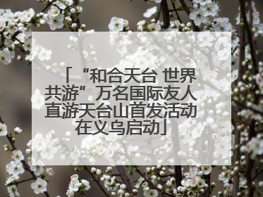 “和合天台 世界共游”万名国际友人直游天台山首发活动在义乌启动
