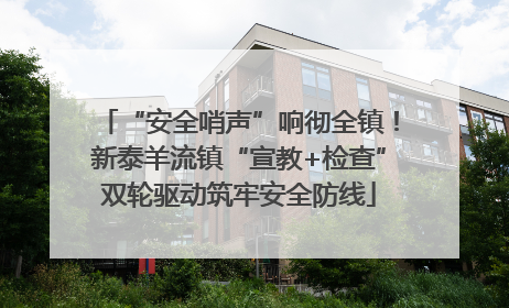 “安全哨声”响彻全镇！新泰羊流镇“宣教+检查”双轮驱动筑牢安全防线