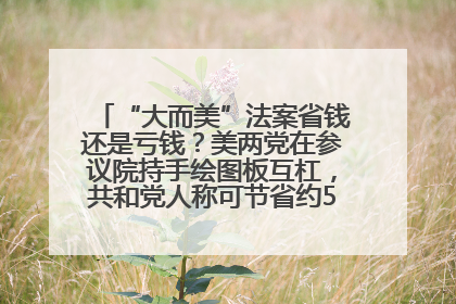 “大而美”法案省钱还是亏钱？美两党在参议院持手绘图板互杠，共和党人称可节省约5000亿美元，民主党人称将增加4.45万亿美元赤字