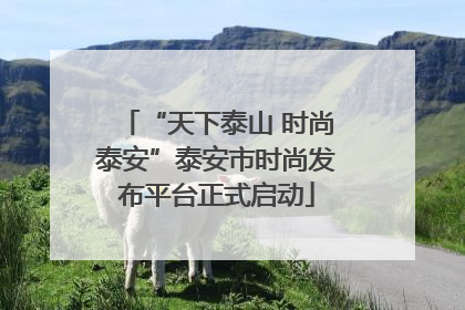 “天下泰山 时尚泰安”泰安市时尚发布平台正式启动