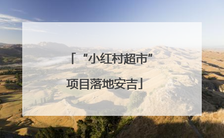 “小红村超市”项目落地安吉