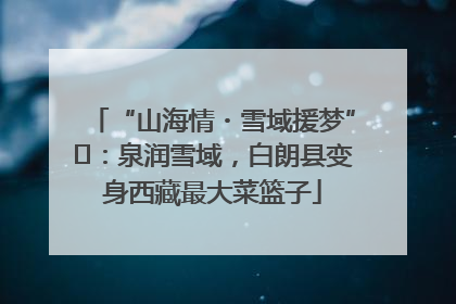 “山海情・雪域援梦”⑪：泉润雪域，白朗县变身西藏最大菜篮子