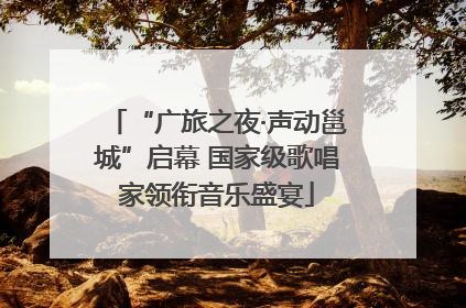 “广旅之夜·声动邕城”启幕 国家级歌唱家领衔音乐盛宴