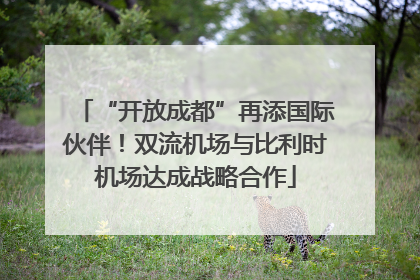 “开放成都”再添国际伙伴！双流机场与比利时机场达成战略合作