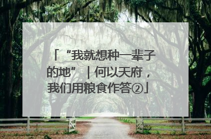 “我就想种一辈子的地”｜何以天府，我们用粮食作答②