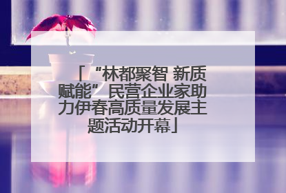“林都聚智 新质赋能”民营企业家助力伊春高质量发展主题活动开幕