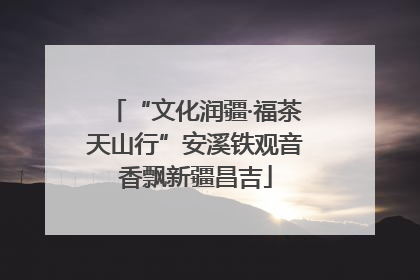 “文化润疆·福茶天山行”安溪铁观音香飘新疆昌吉