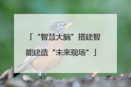 “智慧大脑”搭建智能建造“未来现场”