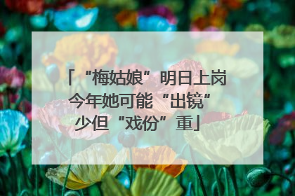 “梅姑娘”明日上岗 今年她可能“出镜”少但“戏份”重