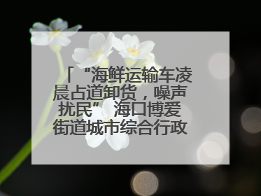 “海鲜运输车凌晨占道卸货，噪声扰民” 海口博爱街道城市综合行政执法中队：将联合交警加强长堤路一带巡逻