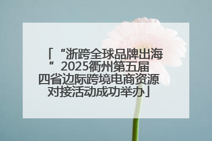 “浙跨全球品牌出海”2025衢州第五届四省边际跨境电商资源对接活动成功举办