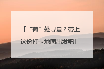 “荷”处寻夏？带上这份打卡地图出发吧
