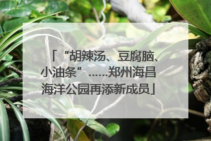 “胡辣汤、豆腐脑、小油条”……郑州海昌海洋公园再添新成员