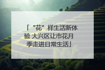 “花”样生活新体验 大兴区让市花月季走进日常生活