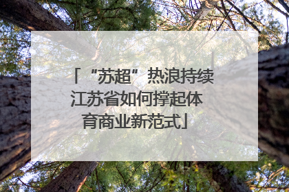 “苏超”热浪持续 江苏省如何撑起体育商业新范式