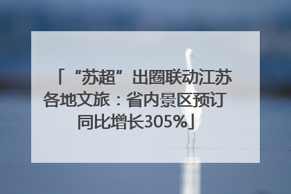 “苏超”出圈联动江苏各地文旅：省内景区预订同比增长305%