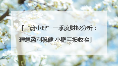 “蔚小理”一季度财报分析：理想盈利稳健 小鹏亏损收窄