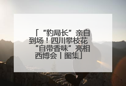 “豹局长”亲自到场！四川攀枝花“自带香味”亮相西博会丨图集