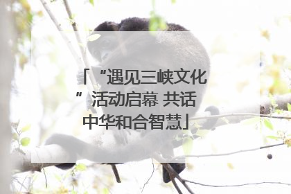 “遇见三峡文化”活动启幕 共话中华和合智慧