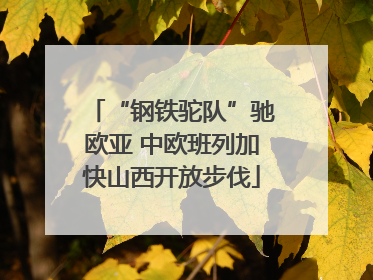 “钢铁驼队”驰欧亚 中欧班列加快山西开放步伐