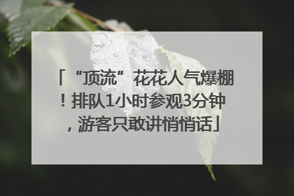 “顶流”花花人气爆棚！排队1小时参观3分钟，游客只敢讲悄悄话